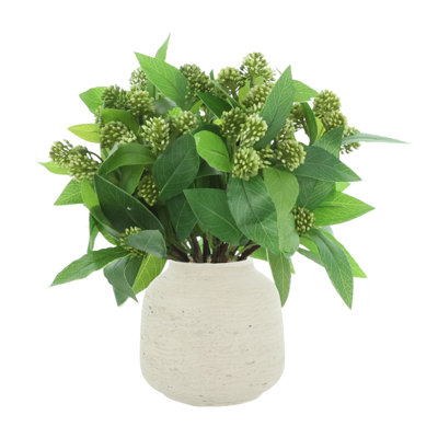 Sedum Bush in Fiberstone Vase