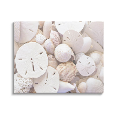 " White Mixed Sand Dollar Shells " by Lil' Rue