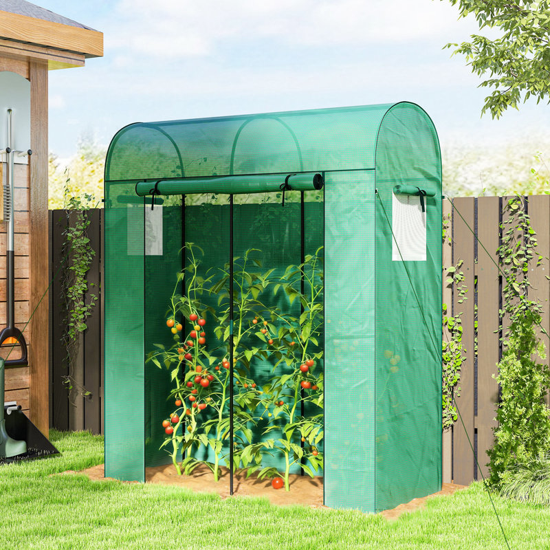 Mini serre et jardin portable avec serre PE, vert, Vert