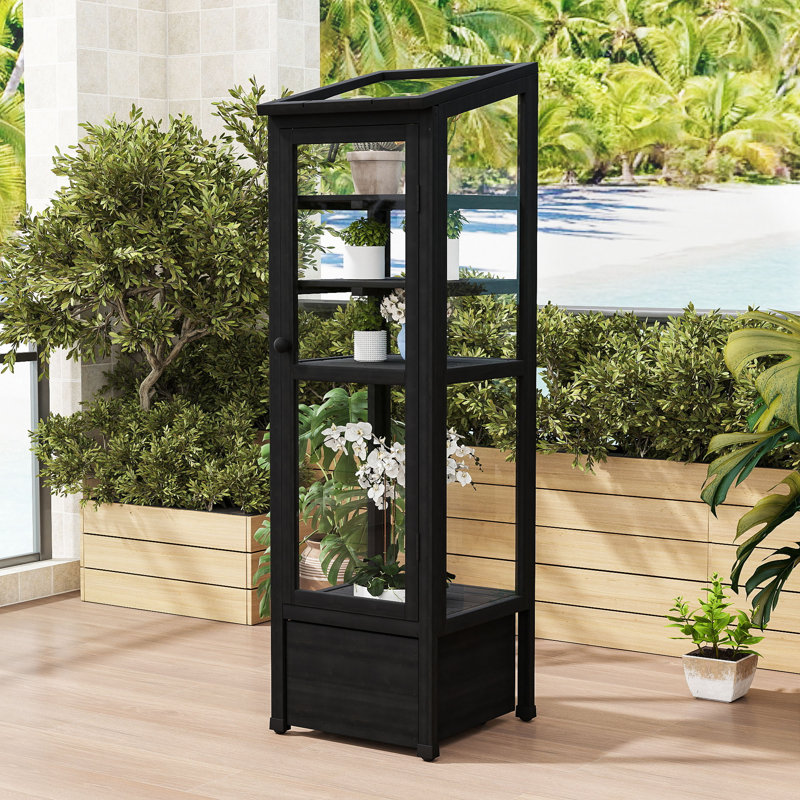 Mini Wood Greenhouse with Adjustable Shelves, Movable Storage Box and Openable Roof, Black