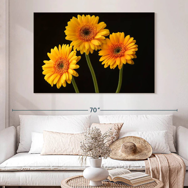 Trois marguerites Harnek sur fond sombre, H 8 po x l 12 po
