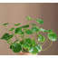 Sapin artificiel 13,78 po-1095824260-1095824261