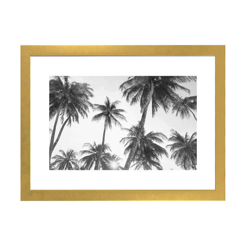 Tropical en noir et blanc par Sissi et Seb - reproduction de photo, Blanc, Papier encadré doré, H 16 po x l 24 po x P 1 po