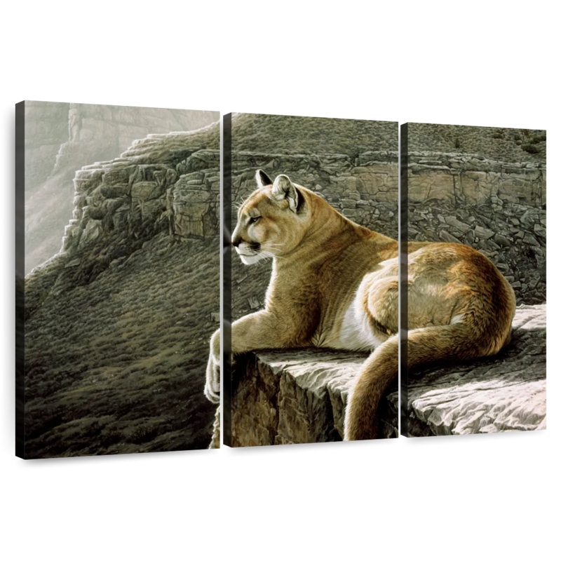 Rimrock - Cougar, H 48 po x l 74 po