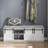 Longworth Shoe Storage Bench for Entryway with Sliding Barn Doors-81920824