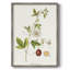 Passion Passion Trio II, reproduction encadrée - bois massif-1660002862