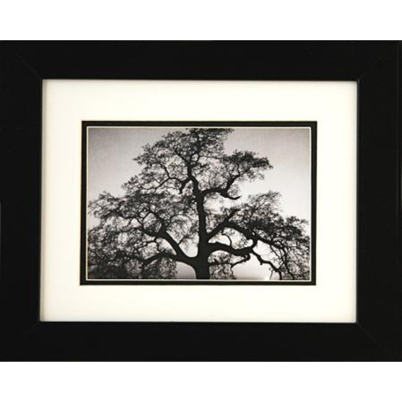 «Oak Tree and Sunset» par Ansel Adams, impression encadrée