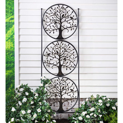 Tadasu 80 in. H x 24 in. W Arched Trellis