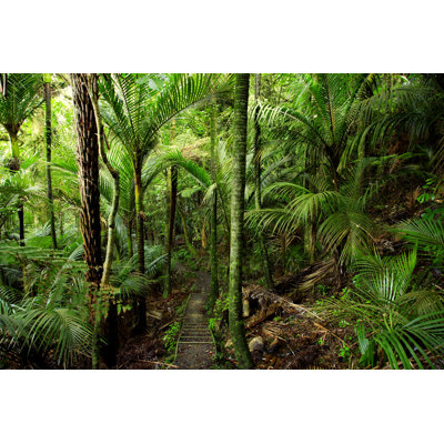 Tropical Forest - Wrapped Canvas Photograph