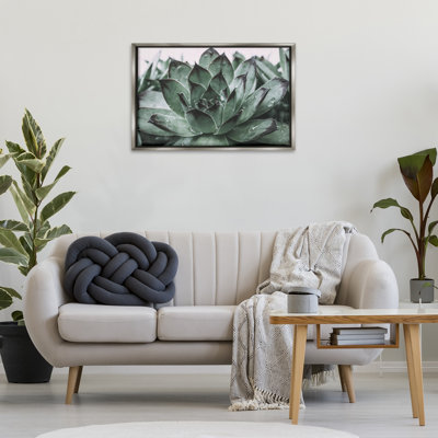 Succulent with Rain Droplets Gray Framed Floater Canvas by Jennifer Rigsby
