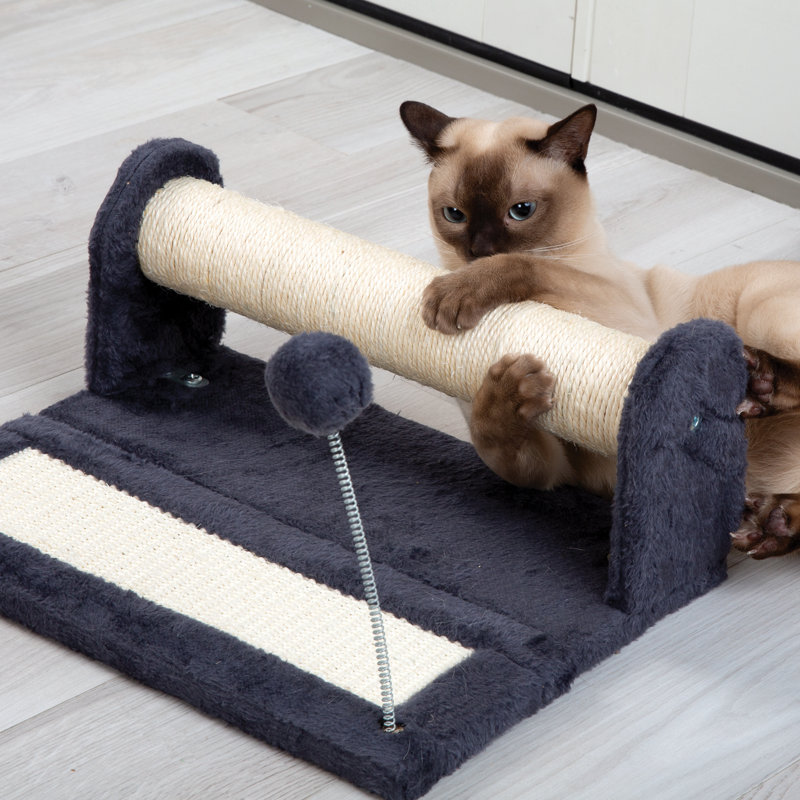 Kitty Scratch N' Play Center