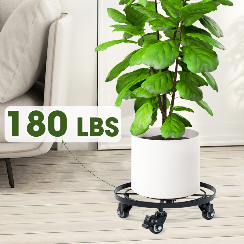 Support pour plante Pennoyer, H 3,14 po x l 12 po x P 12 po