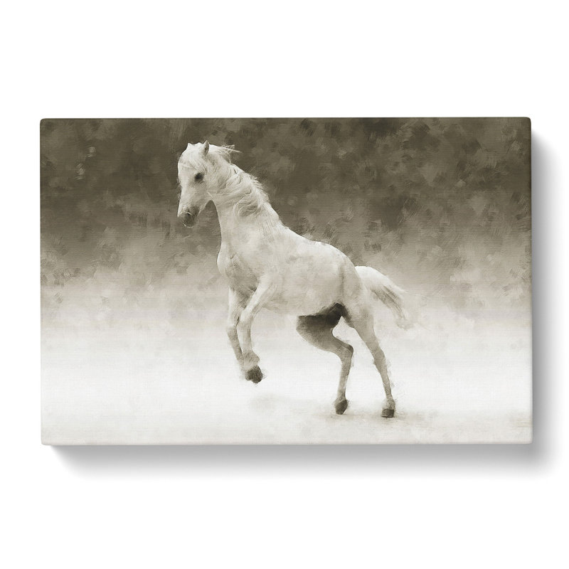 White Horse Vol.1 - Wrapped Canvas Print, 35cm H x 50cm W x 3cm D