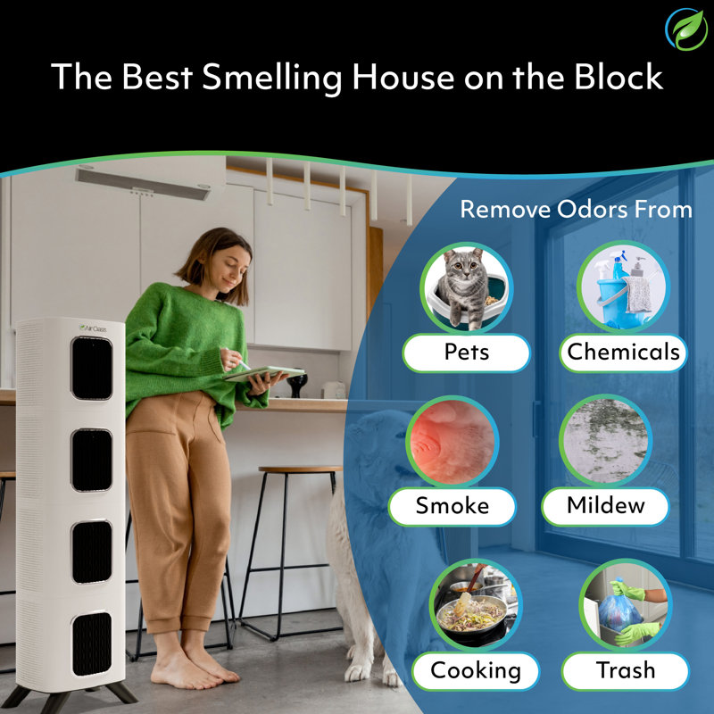 iAdaptAir 2.0 Pro 5-Stage True HEPA Filtration for Viruses, Mould, Dust, Smoke, Pollen & Odours with 2 year Filter Life, Ozone Free Bi-Polar Technology, WiFi Compatible, and up to, 5,474 Sq Ft of Clean Air.