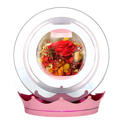Lampe lévitation magnétique 9,8 po avec fleur préservée en verre et base couronne Connexion sans fil BT Haut-parleur rotatif à DEL Flottante Veilleuse pour la chambre