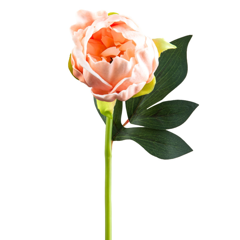 Peach RealTouch Peony, Light Orange