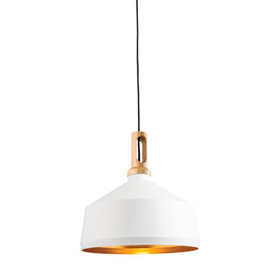 Rickey 1 - Light Dome Pendant