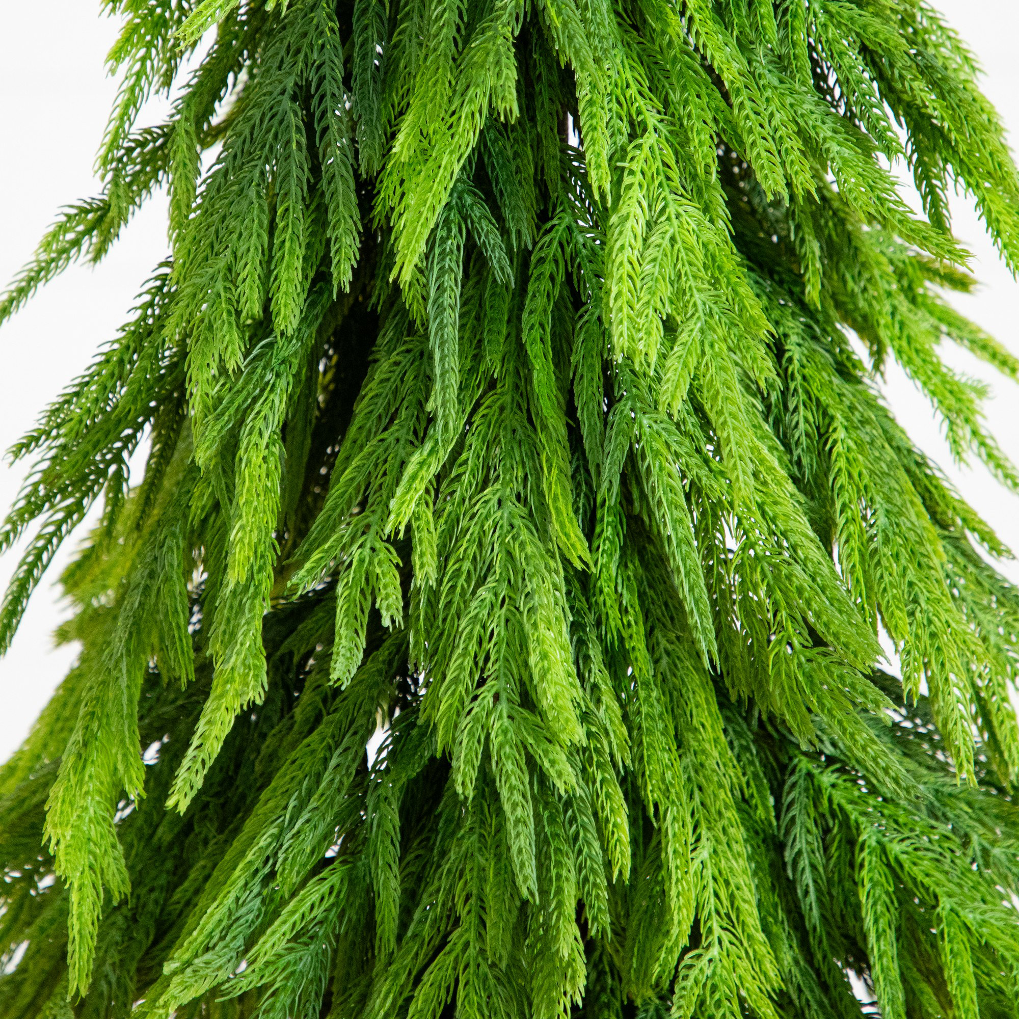 4Ft. Artificial Real Touch Down Swept Norfolk Pine Tree With Natural Look, 4" H x 16" W x 6.5" D