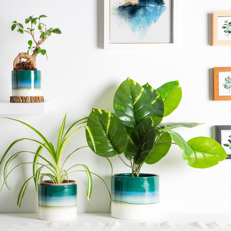 Nicola Spring - Reactive Glaze Plant Pots - 9cm, Green