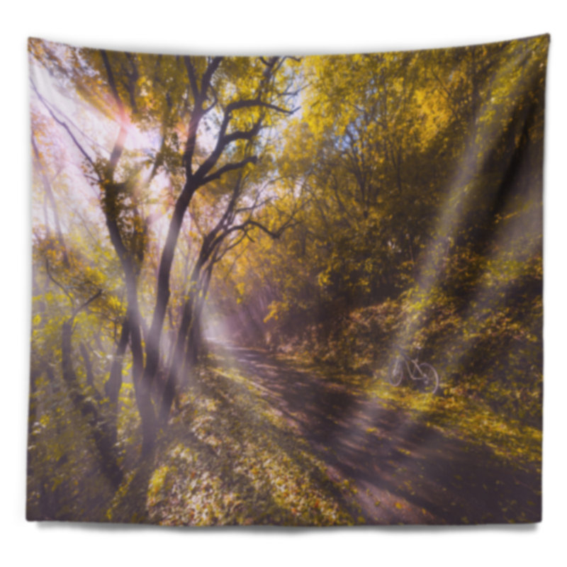 Paysage, balade à vélo dans une forêt d'automne, H 78 po x l 92 po