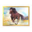 Cheval brun galopant - peinture sur toile-67417823-67417824