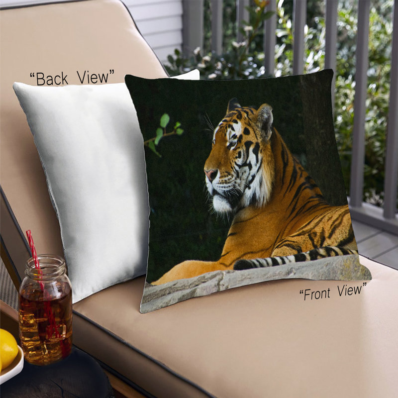 Throw Pillow, Microsuede