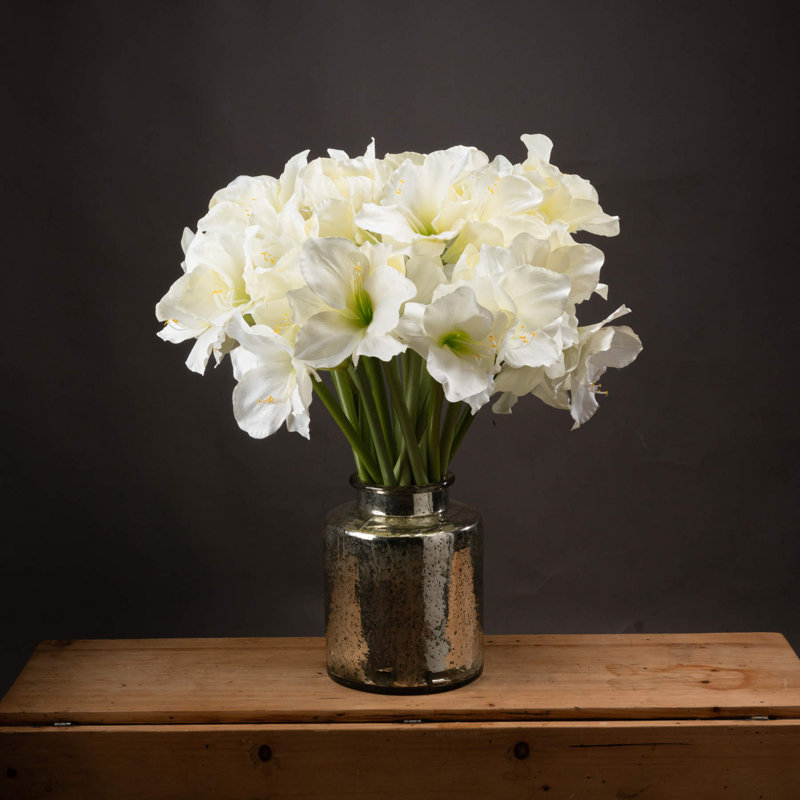 Anastasija Arrangement