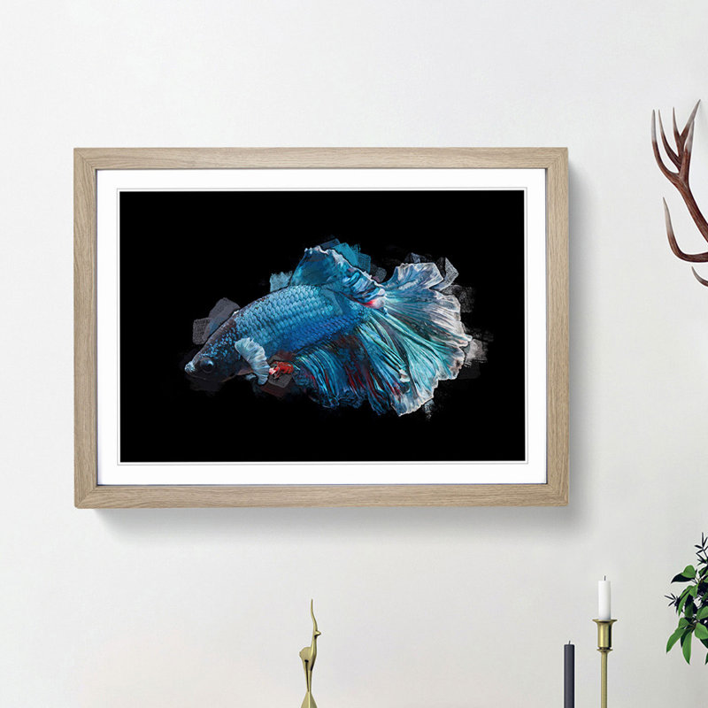 Blue Siamese Fighting Fish in Abstract - Picture Frame Graphic Art Print, Oak Framed, 36cm H x 48cm W x 2cm D