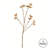 Illicum Arrangement