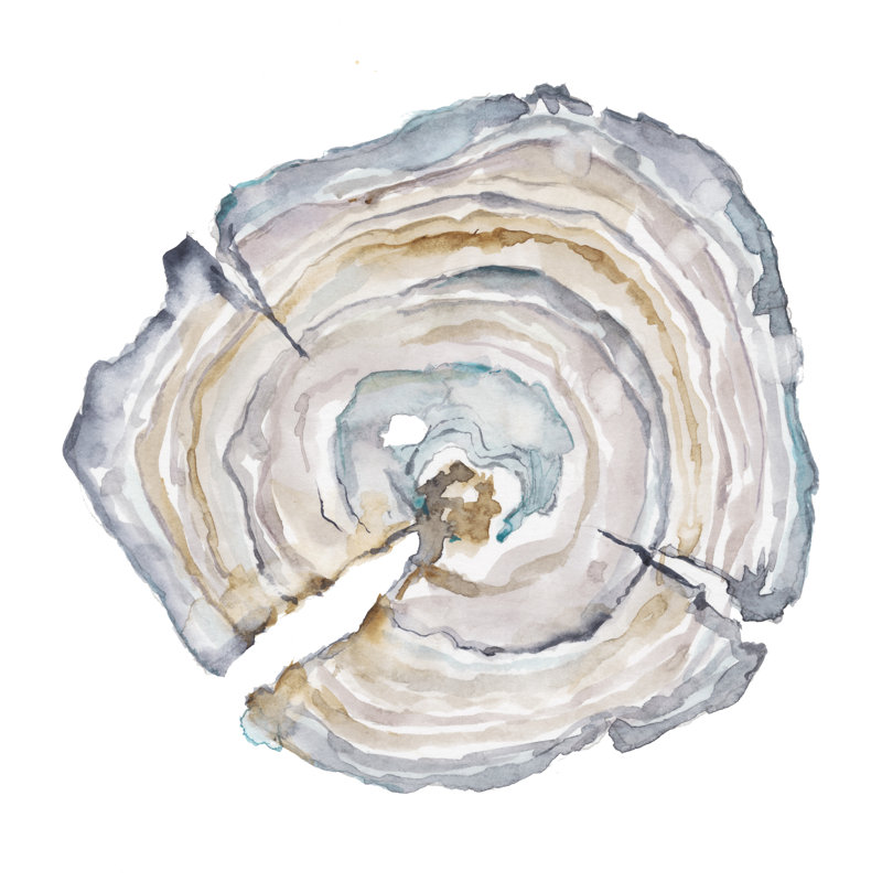 «Watercolor Tree Ring I» par Ethan Harper, reproduction d'art sur toile tendue, H 20 po x l 20 po, Imprimé à cadre argenté