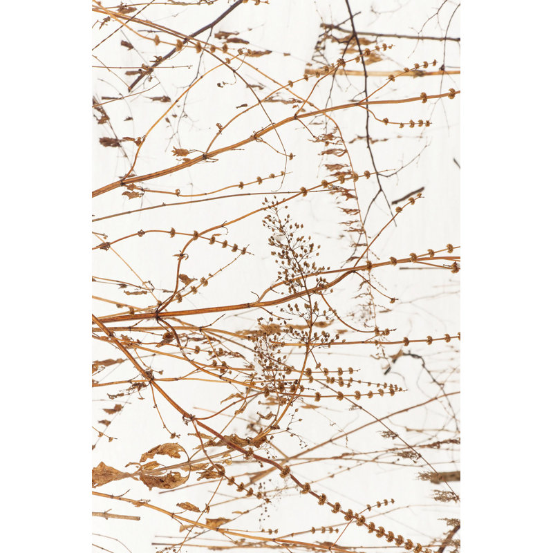Tapis luxueux 100% polyester 5,2 x 7,5 pi, hauteur des poils de 0,4 po | Antibactérien, points antidérapants en PVC, lavable à la machine | Élégante impression numérique en 3D, parfaite pour le décor du salon et de la chambre à coucher
