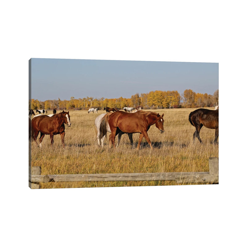 Group of Horses I 1 Piece Wrapped Canvas Wall Art, 101.6 cm H x 66.04 cm W x 1.91 cm D