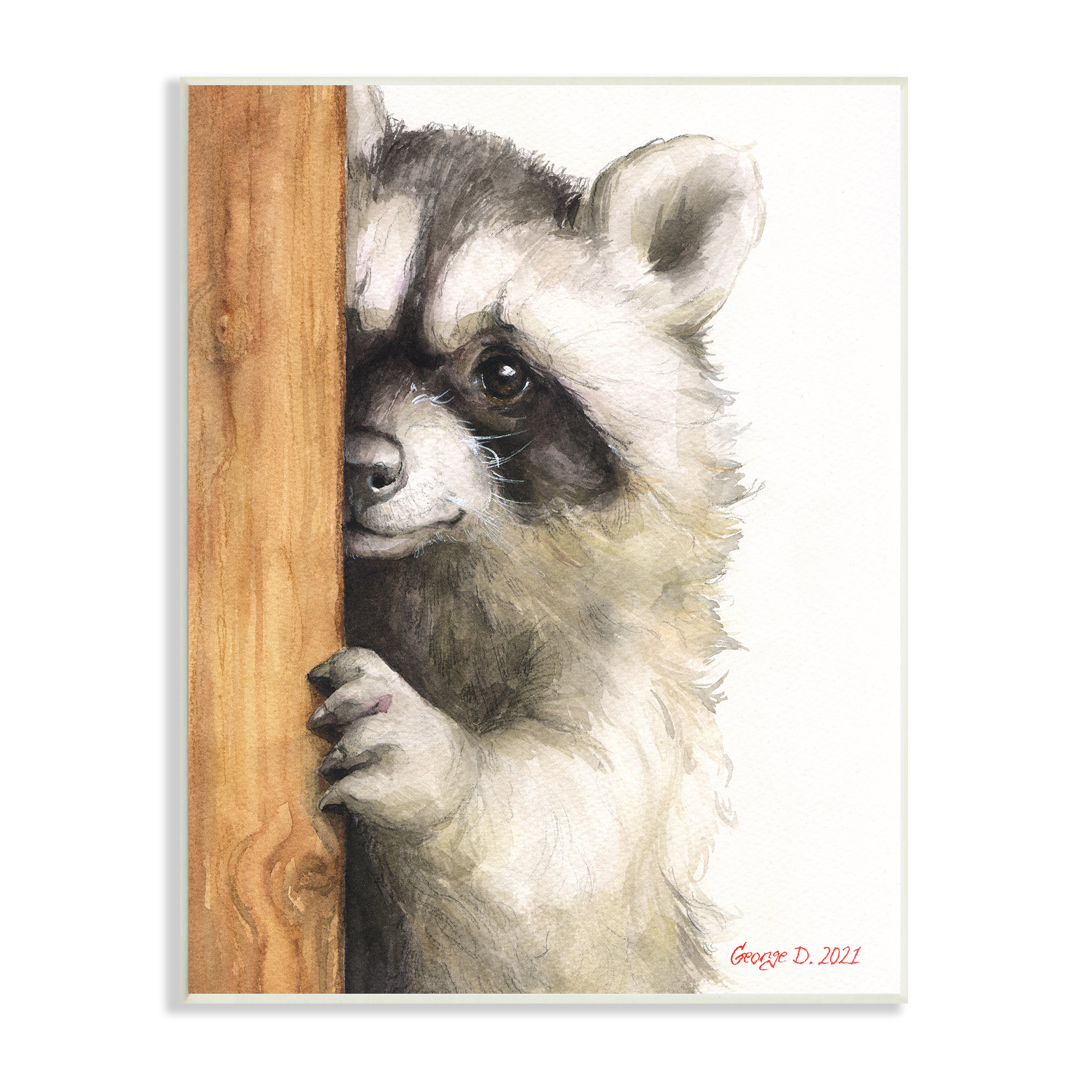 Peering Raccoon Cute Smile Watercolor Animal Painting Wall Plaque Art By George Dyachenko