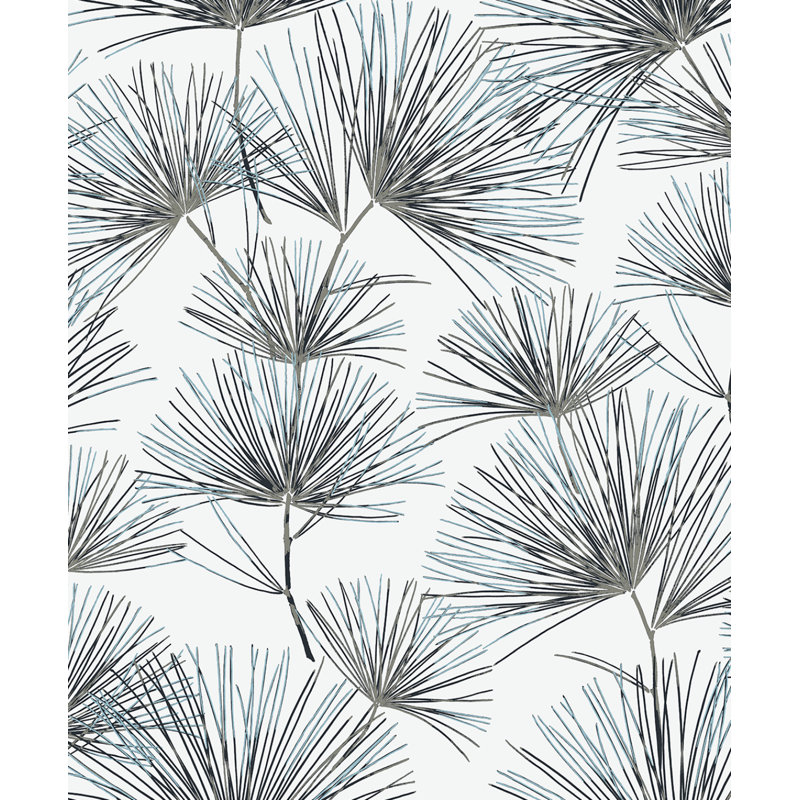 Adriannah Roll, Gris anthracite