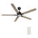 60'' 5-Blade LED Smart Standard Ceiling Fan With Light Kit Included, Remote Control 