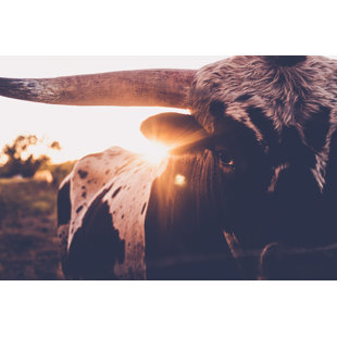 Oil Painting Replica  A Longhorn Cow in a Landscape, the Property