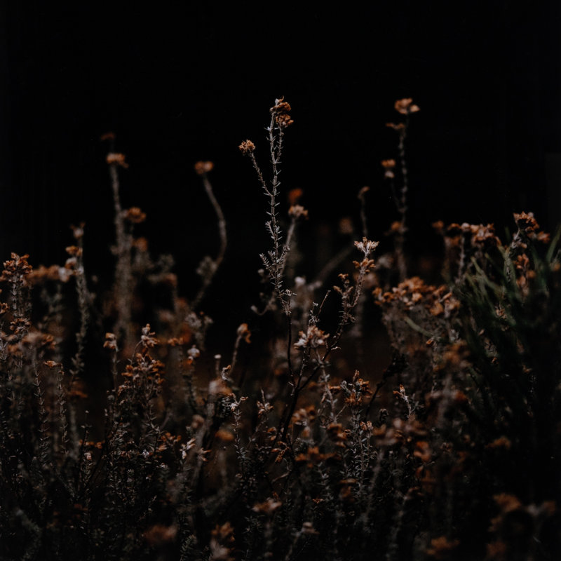 Escape I Print by Annie Spratt, 48" H x 36" W x 2.5" D