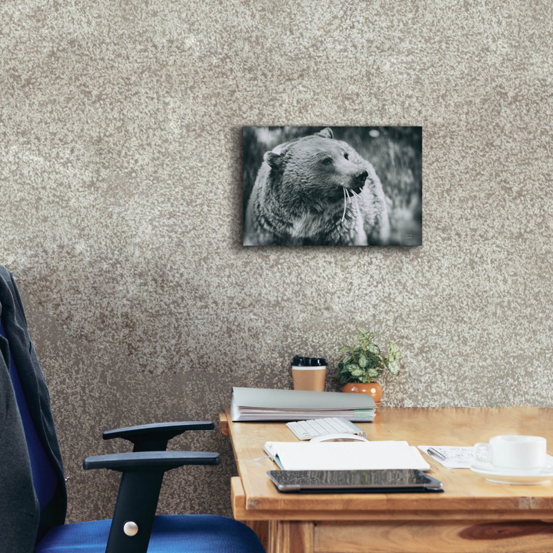 "Epic Graffiti" Grizzly Snack "par Nathan Larson, art mural sur toile, H 12 po x l 18 po