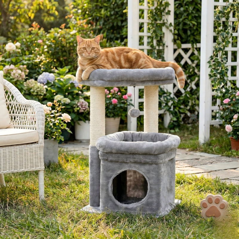 Tour à chat pour chats d'intérieur, condo pour chat privé, poteaux à griffer en sisal naturel, pompon en peluche, pour petits chats