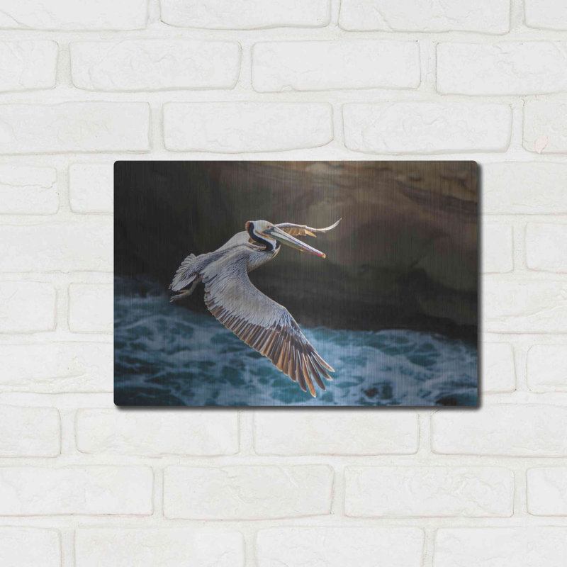 «Pelican Flight» par Chris Moyer, art mural en métal, L 16 po x H 12 po x P 0,13 po