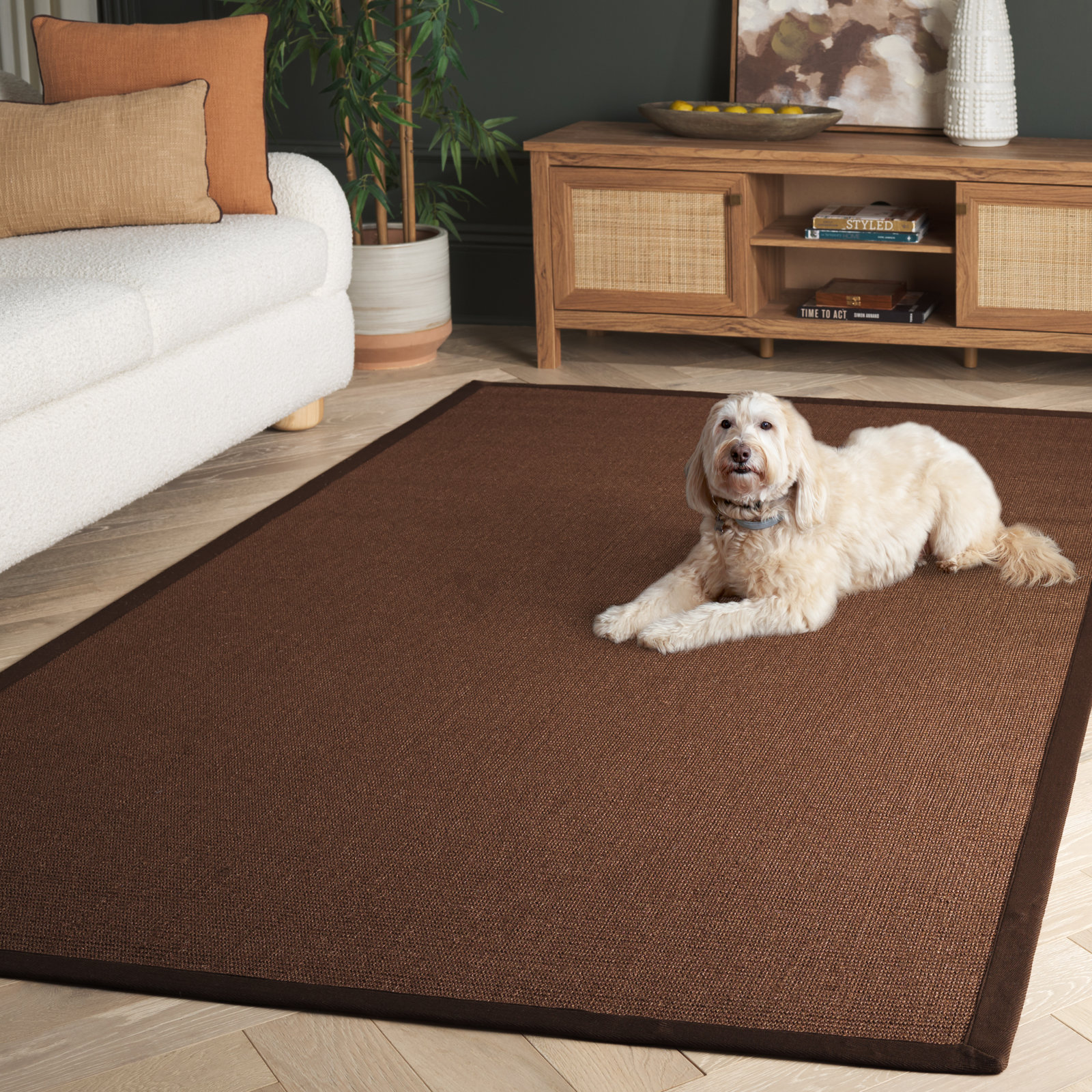 Auckland Jute Brown Area Rug, Rectangle 6' x 9'