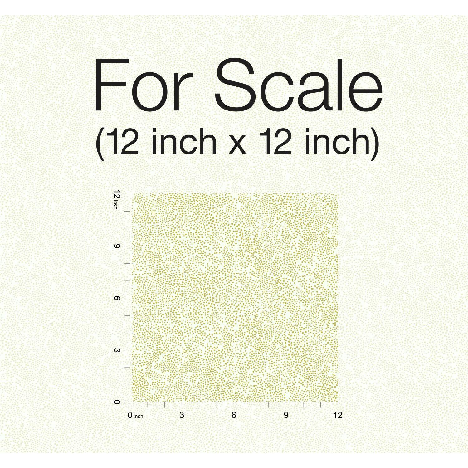 Rifle Paper Co. Champagne Dots 27' x 27" Wallpaper Roll, Gold/White
