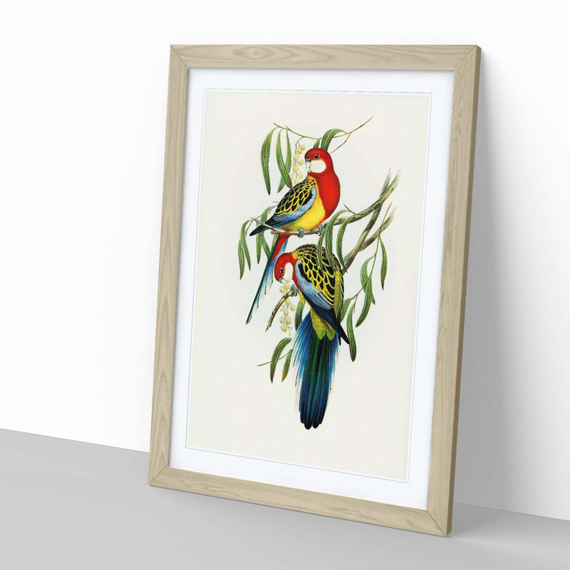 Rose-Hill Parakeets by Elizabeth Gould - Picture Frame Graphic Art Print, Oak, 60cm H x 40cm W x 2cm D