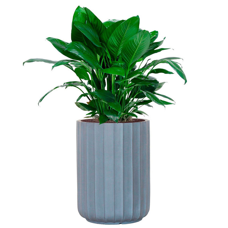 Concrete Effect Frostproof Outdoor Plant Pot, Garden Flower Pot, Cylinder Round Garden Planter with Drainage Holes, Outdoor Planter with Ribbed Pattern