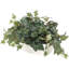 Lierre artificiel 9,75 "en pot