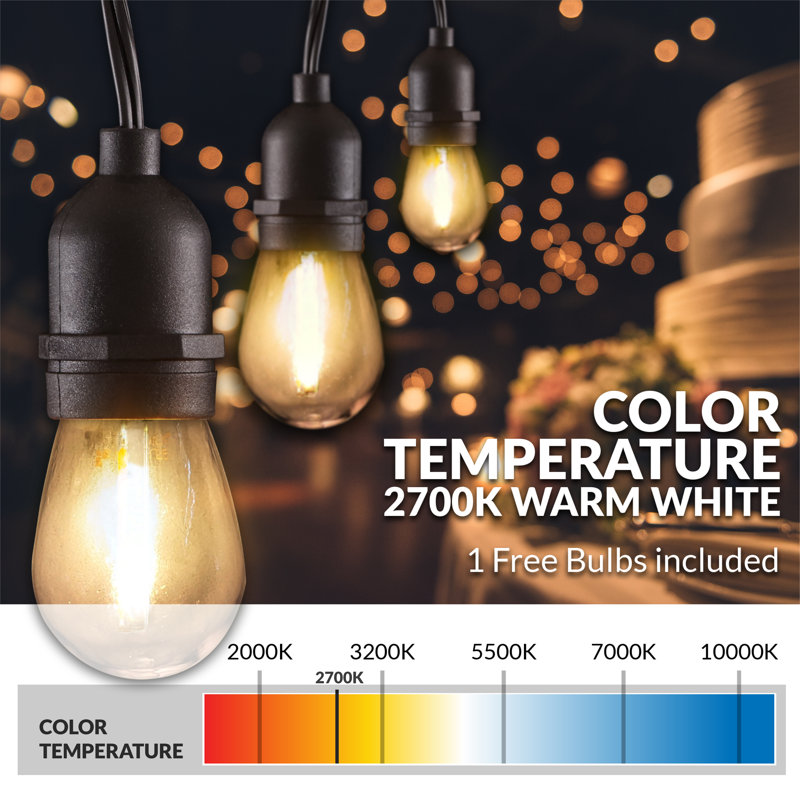 Kurt Outdoor 16 - Bulb 48'' Plug-in LED String Light