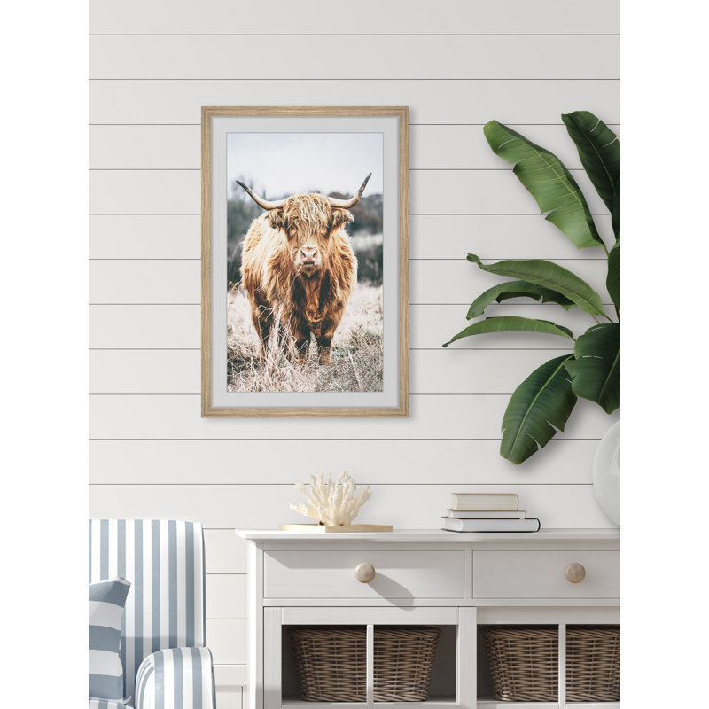 Scottish Highland Cattle - Print, 61cm H x 61cm W x 3.81cm D, Brown Framed Paper