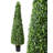 72" Artificial Boxwood Topiary in Pot Liner