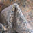 Langley Street® Kingscote Alabama Rug-1158376048