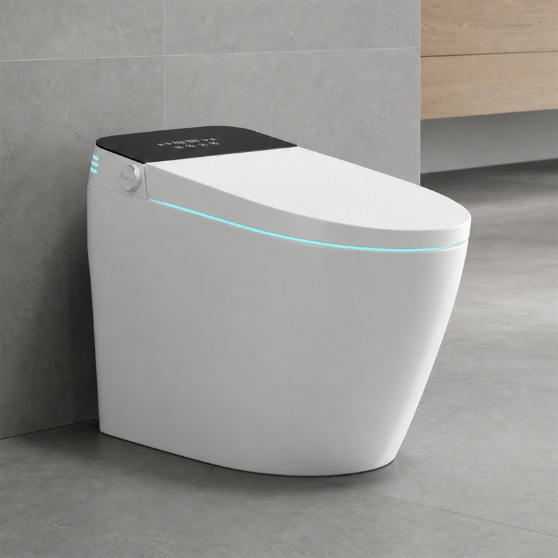 Toilette intelligente sans réservoir avec lavage à l'eau chaude instantanée et séchage